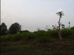 201302 Chiang Mai26